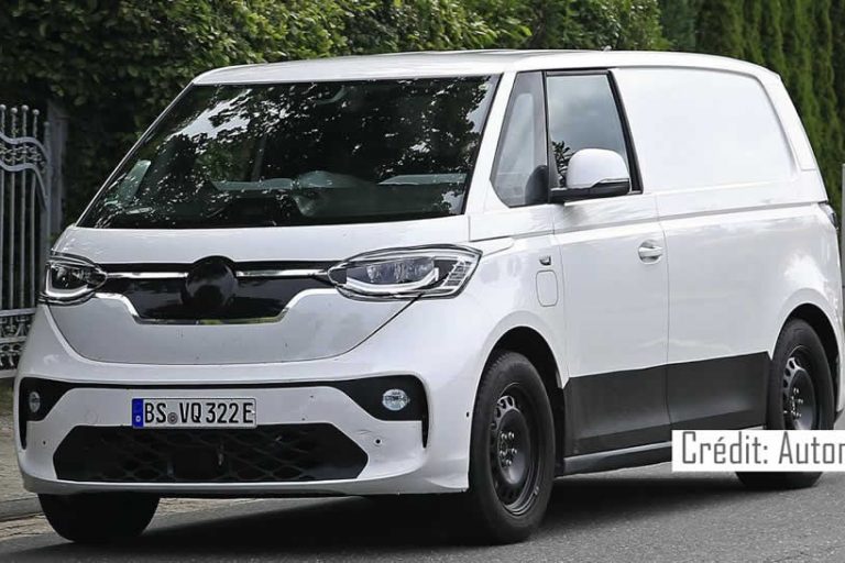 Utilitaire électrique : Le flop
