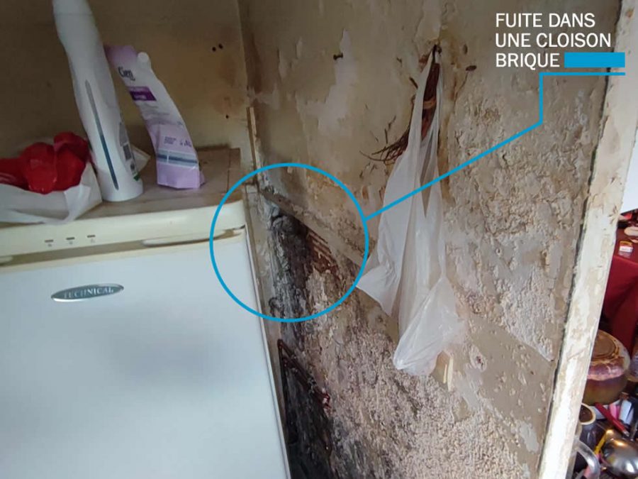 Moisissure sur les murs Le guide Mon batiment — free download
