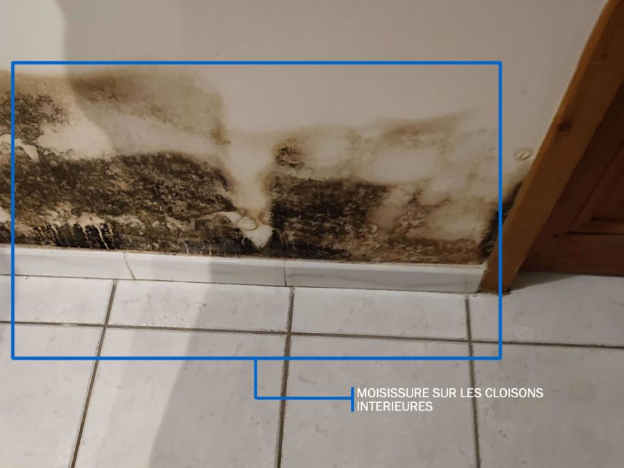 Moisissure sur les murs Le guide Mon batiment — free download