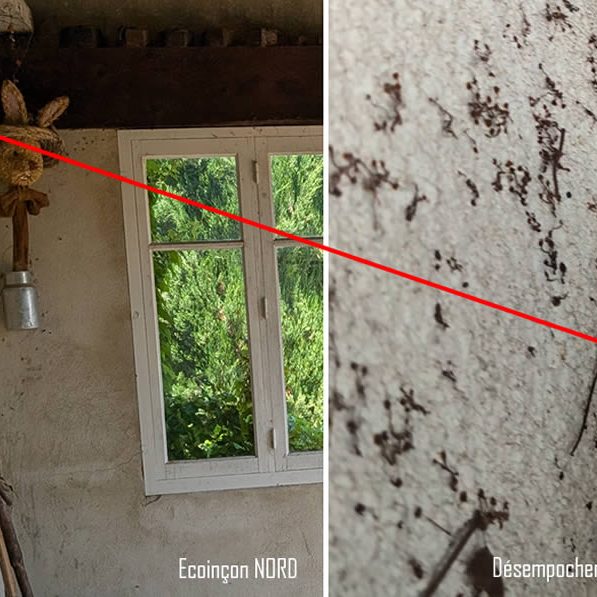 RGA : Une expertise controversée