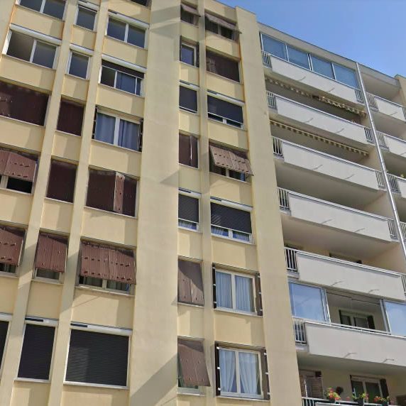 Le volet roulant en collectif : Un dilemme Le volet roulant en collectif : Un dilemme