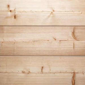 Gros plan sur le Mélèze / Crédit photo : SudBois