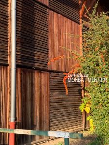 Le mélèze en bardage 