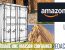 Ouvrage de la rédaction sur les maison containers